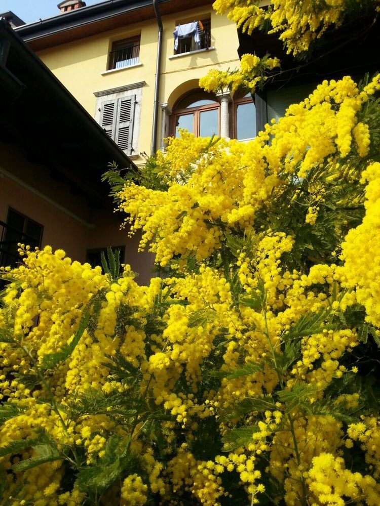 Omas Haus Villa Toscolano Maderno Dış mekan fotoğraf